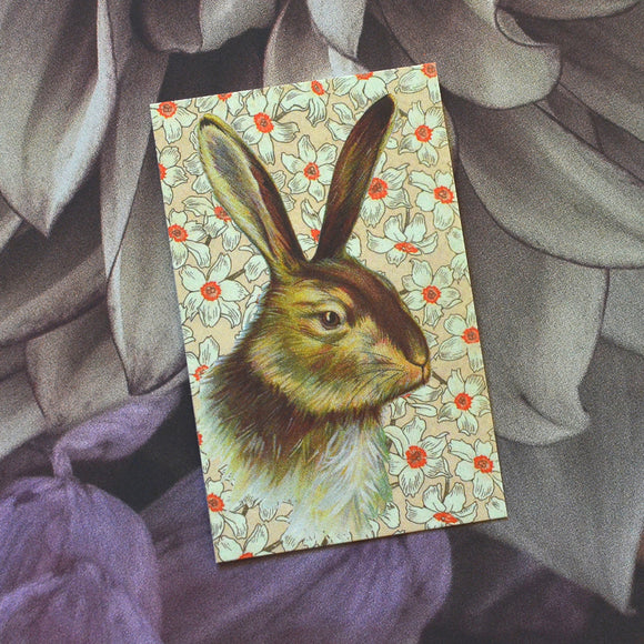 Gift card - hare - Sköna hem, Dessin Design