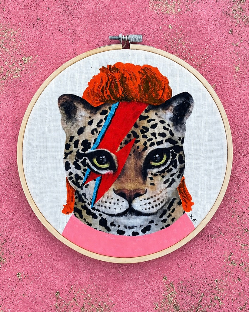 Ziggy - DessinDesign