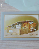 Litet kort med kuvert - Retrokatter DessinDesign