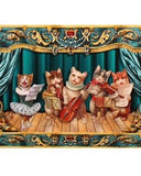 3D kort - Kattorkester DessinDesign