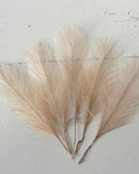 Syntetiska fjädrar - Beige DessinDesign