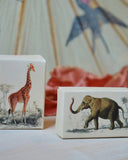 Gästtvål i söt förpackning DessinDesign