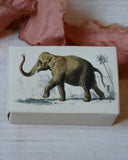 Gästtvål i söt förpackning DessinDesign