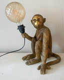 Aplampa DessinDesign