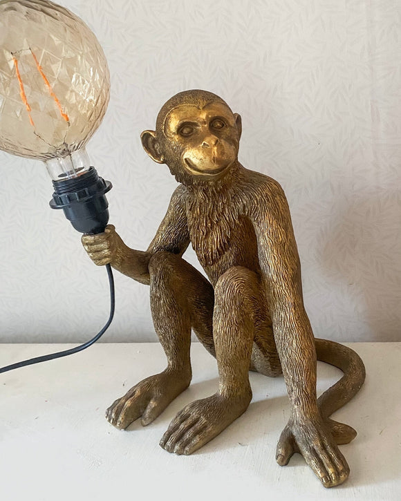 Aplampa DessinDesign