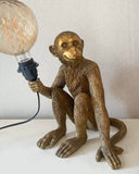 Aplampa DessinDesign