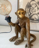 Aplampa DessinDesign