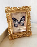 Guldram DessinDesign