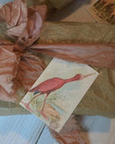 Paketkort - Fågel DessinDesign