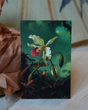 Paketkort - Orkidé DessinDesign