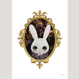 Beatrix the bunny, poster - Dessin Design