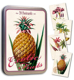 Tin box with 20 vintage cards with exotic fruits