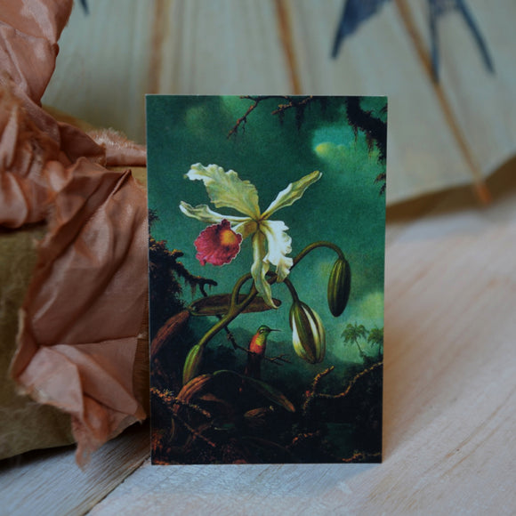 Gift cards, orchid - Sköna hem, Dessin Design