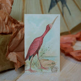 Gift card - bird - Sköna hem, Dessin Design