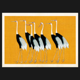 Cranes, poster Sköna Ting - Dessin Design