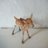 Petite fawn, baby deer