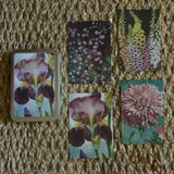 Tin box with 20 Vintage flower cards, Sköna Ting, Dessin Design