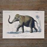 Elephant vintage style card, Sköna Ting, Dessin Design