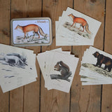 Tin box with 20 Nordic animals vintage style cards, Sköna Ting, Dessin Design
