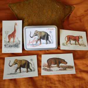 Tin box with 20 Safari animals vintage style cards, Sköna Ting, Dessin Design